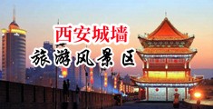 骚逼舔吊视频中国陕西-西安城墙旅游风景区