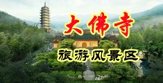 高清无码完整版狂插中国浙江-新昌大佛寺旅游风景区